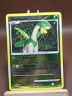 Tropius