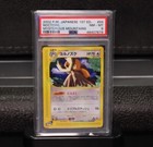 Noctowl