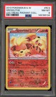 Growlithe