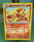 Growlithe