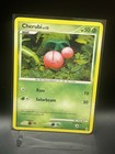 Cherubi