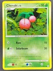 Cherubi