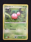 Cherubi