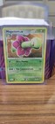 Meganium
