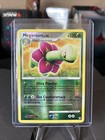 Meganium