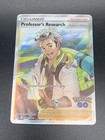 Professor's Research: Professor Willow