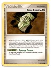 Root Fossil