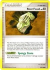Root Fossil
