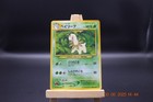 Bayleef