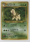 Bayleef