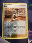 Bea