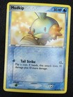 Mudkip