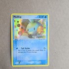 Mudkip