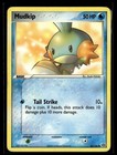 Mudkip