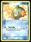 Mudkip