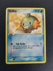 Mudkip