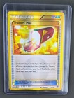 Trainers' Mail
