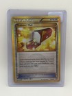 Trainers' Mail