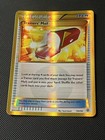 Trainers' Mail