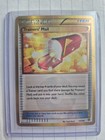 Trainers' Mail