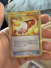 Trainers' Mail