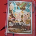 Pachirisu