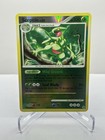 Sceptile