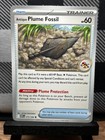 Antique Plume Fossil