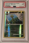 Sceptile