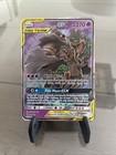 Trevenant & Dusknoir GX