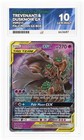 Trevenant & Dusknoir GX