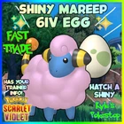 Mareep