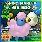Mareep