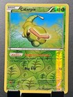 Caterpie