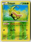 Caterpie