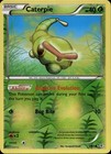 Caterpie