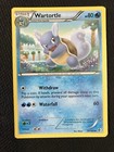 Wartortle