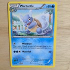 Wartortle