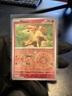 Ponyta