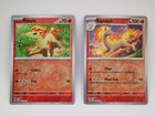 Ponyta