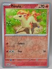 Ponyta