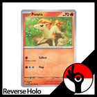 Ponyta