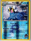 Team Aqua's Walrein