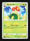 Bellossom