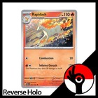 Rapidash