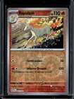Rapidash