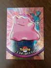 Ditto