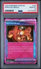 Survival Brace
