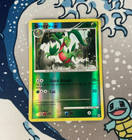 Grovyle