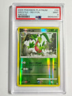 Grovyle